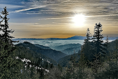 Mała Przehyba 1151 m. n. p. m. - Przysietnica